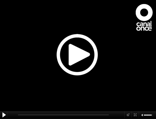Canal Once Live