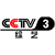 CCTV 3
