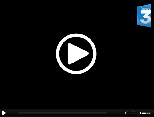 FRANCE 3 online